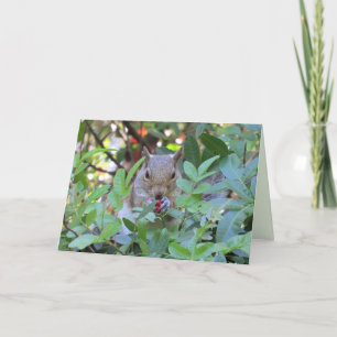 Festiva Tarjeta de felicitación Adorable Squirrel Eating B