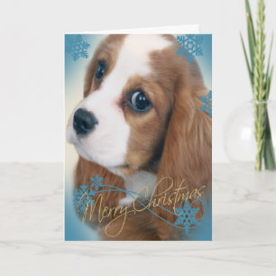 Festiva Tarjeta de felicitación arrogante de rey Charles