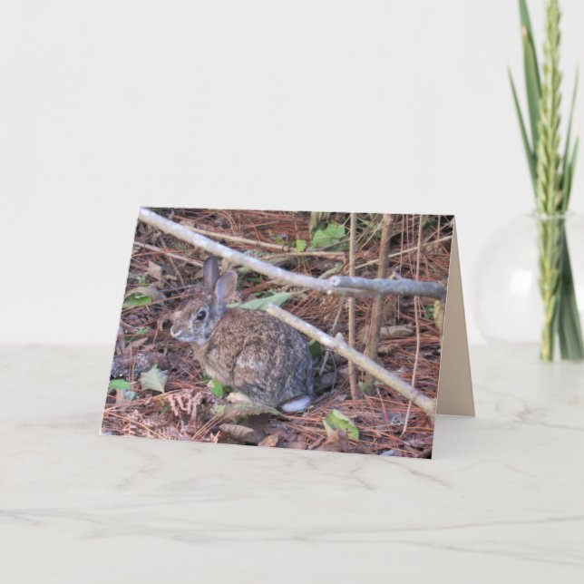 Festiva Tarjeta de felicitación Bunny Rabbit (Anverso)