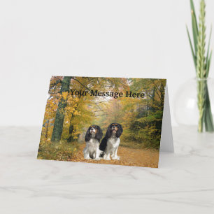 Festiva Tarjeta de felicitación Cavalier King Charles Span