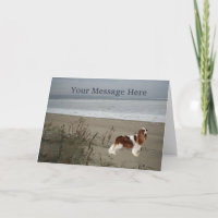 Tarjeta de felicitación Cavalier King Charles Span