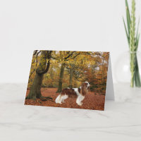 Tarjeta de felicitación Cavalier King Charles Span