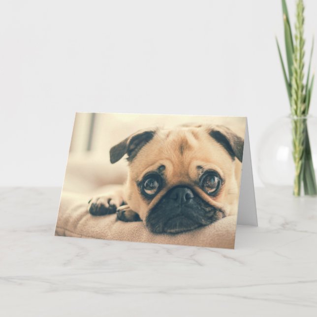 Festiva Tarjeta de felicitación Cute Pug (Anverso)
