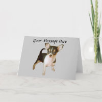 Tarjeta de felicitación Cutie Chihuahua