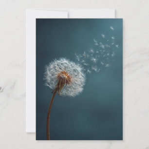 Festiva Tarjeta de felicitación Dandelion con fondo azul