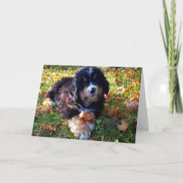 Festiva Tarjeta de felicitación de Berner Nation