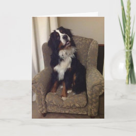 Festiva Tarjeta de felicitación de Berner Nation