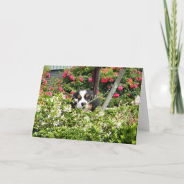 Festiva Tarjeta de felicitación de Berner Nation