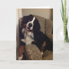 Festiva Tarjeta de felicitación de Berner Nation