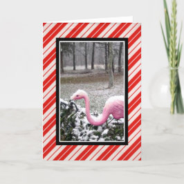 Festiva Tarjeta de Felicitación de Flamenco Navideño