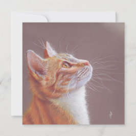 Festiva Tarjeta de felicitación de gato. Gatito rojizo