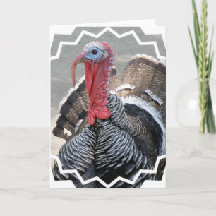 Festiva Tarjeta de felicitación de imágenes de Wild Turkey