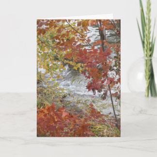 Festiva Tarjeta de felicitación de la acción de gracias