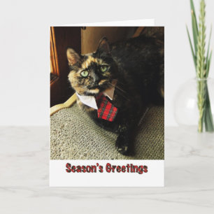 Festiva Tarjeta de felicitación de la estación de Tortie,