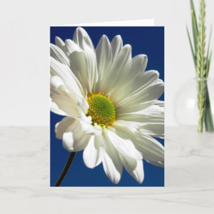 Festiva Tarjeta de felicitación de la margarita