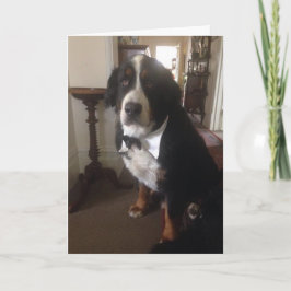 Festiva Tarjeta de felicitación de la nación de Berner