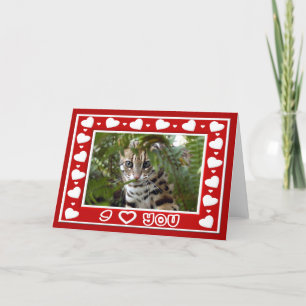 Festiva Tarjeta de felicitación de la tarjeta del día de