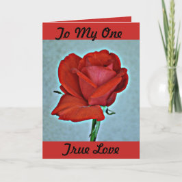 Festiva Tarjeta de felicitación de la tarjeta del día de