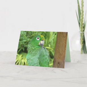 Festiva Tarjeta de felicitación de loro verde lindo