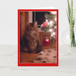 Festiva Tarjeta de felicitación de los ornamentos del gato