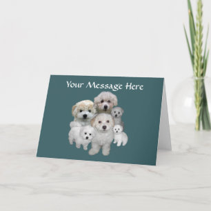 Festiva Tarjeta de felicitación de los perritos de Bichon