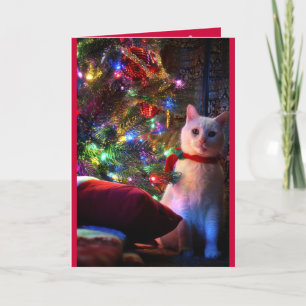 Festiva Tarjeta de felicitación de Meowy Catmas
