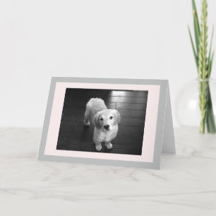 Festiva Tarjeta de felicitación de porcino en blanco para