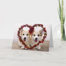 Tarjeta de felicitación de San Valentín Corgis y s