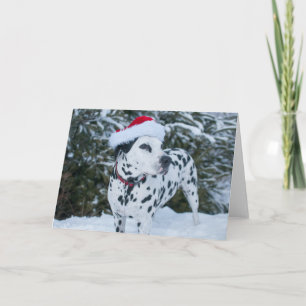 Festiva Tarjeta de felicitación de Santa del Dalmatian