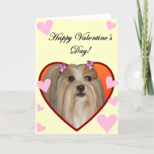 Festiva Tarjeta de felicitación de Shih Tzu de la tarjeta