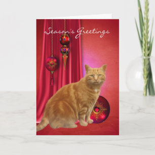Festiva tarjeta de felicitación de temporada de gato pelir