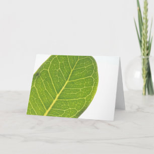 Festiva Tarjeta de felicitación de textura de hoja verde r