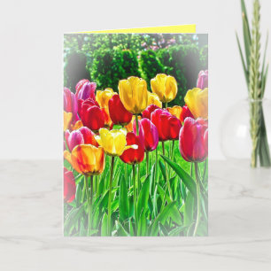 Festiva Tarjeta de felicitación de Tulips
