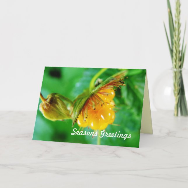Festiva tarjeta de felicitación de verano (Anverso)
