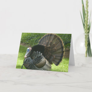 Festiva Tarjeta de felicitación de Wild Turkey