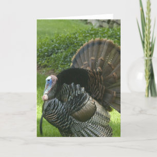 Festiva Tarjeta de felicitación de Wild Turkey