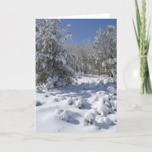 Festiva Tarjeta de felicitación del bosque invernal nevado