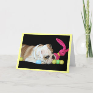 Festiva Tarjeta de felicitación del bulldog de Pascua