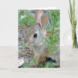 Festiva Tarjeta de felicitación del conejo de conejito del