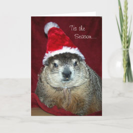 Festiva Tarjeta de felicitación del día de fiesta de