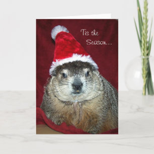 Festiva Tarjeta de felicitación del día de fiesta de
