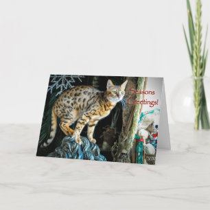 Festiva Tarjeta de felicitación del gato de Bengala del