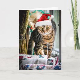 Festiva Tarjeta de felicitación del gato del día de fiesta