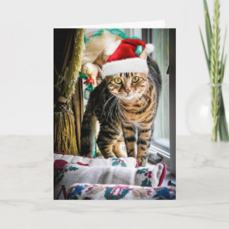Festiva Tarjeta de felicitación del gato del día de fiesta