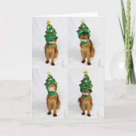 Festiva Tarjeta de felicitación del gorra del árbol de