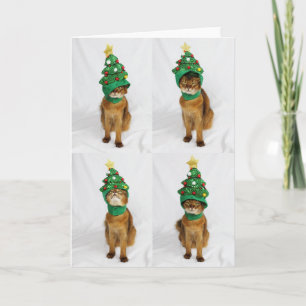 Festiva Tarjeta de felicitación del gorra del árbol de