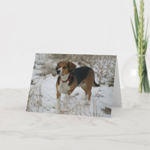 Festiva Tarjeta de felicitación del invierno del beagle de