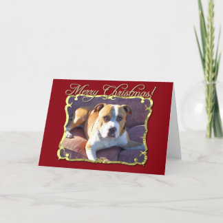 Festiva Tarjeta de felicitación del perro del pitbull de