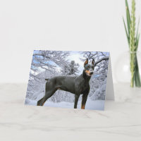 Tarjeta de felicitación del Pinscher del Doberman
