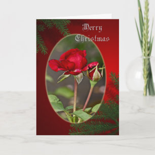 Festiva Tarjeta de felicitación del rosa rojo y de las